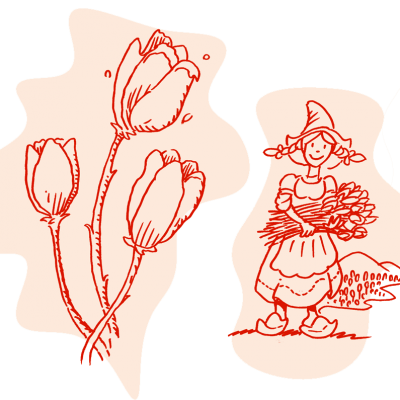 Un tipo di tulipano 